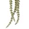 Green Amaranthus Stem by Ashland®
